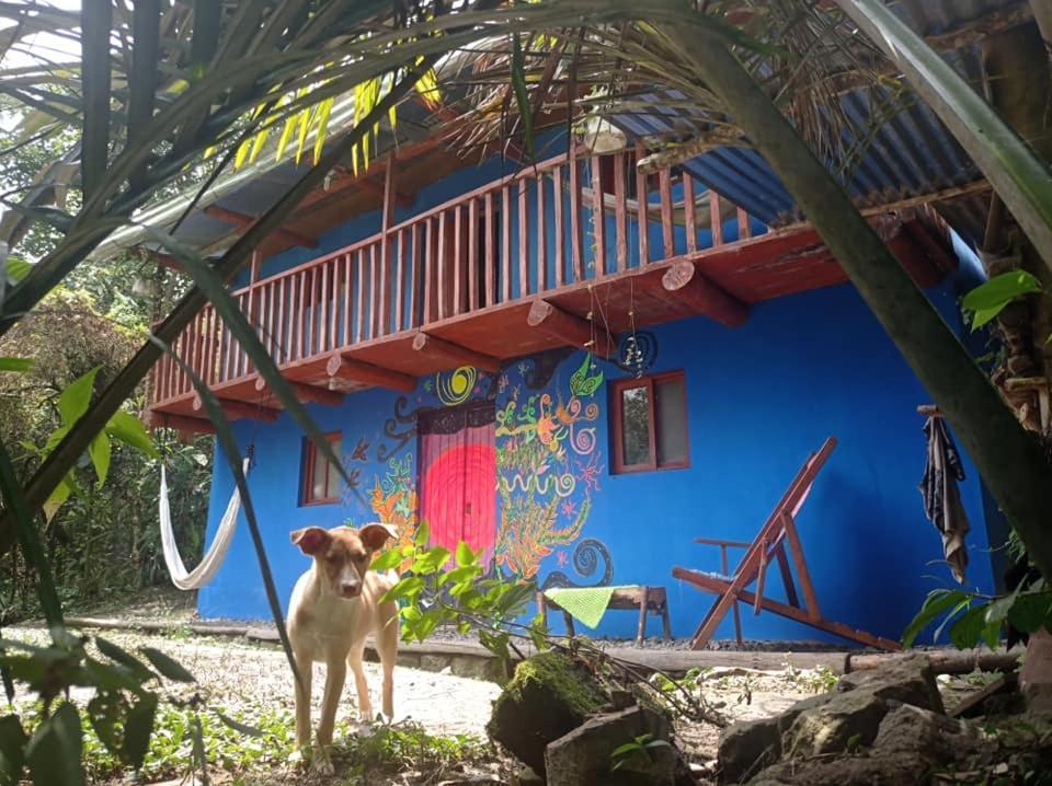 Eco Albergue Azul Cuispes Exterior photo